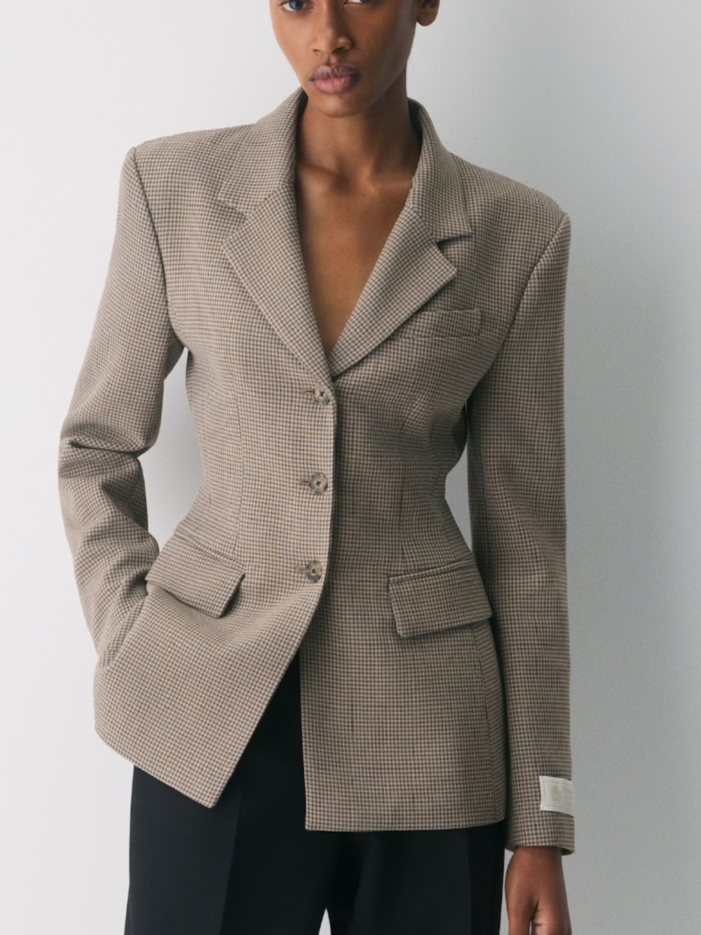 NWOT Aritzia Standout Blazer Eversential